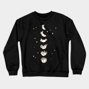 Cute Cat Moon Cycle Astrology Pet Animal Design Crewneck Sweatshirt